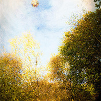 Buy canvas prints of Hot Air Balloon by Martyn Williams