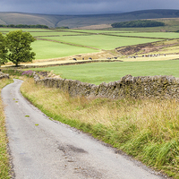 Buy canvas prints of Country Lane, Derbyshire by Martyn Williams