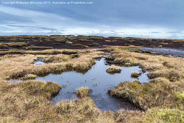 Kinder Scout Moorland Bog Picture Board by Martyn Williams