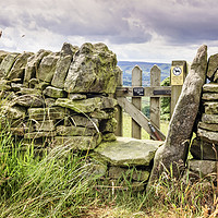 Buy canvas prints of Stone Wall, Derbyshire by Martyn Williams