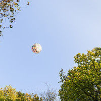 Buy canvas prints of Hot Air Balloon by Martyn Williams