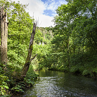 Buy canvas prints of River Wye, Miller's Dale, Derbyshire by Martyn Williams