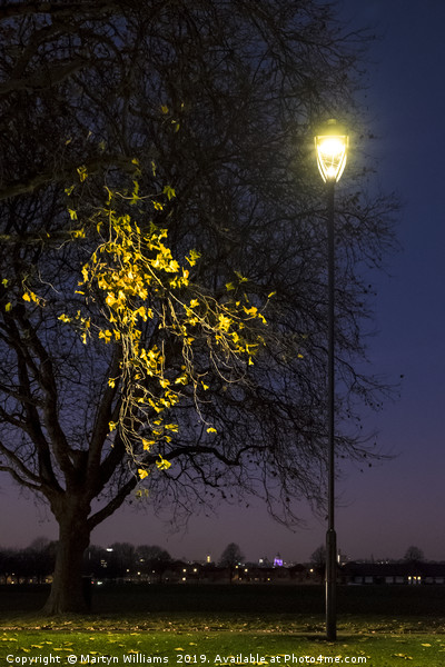 Street Light, Nottingham Picture Board by Martyn Williams