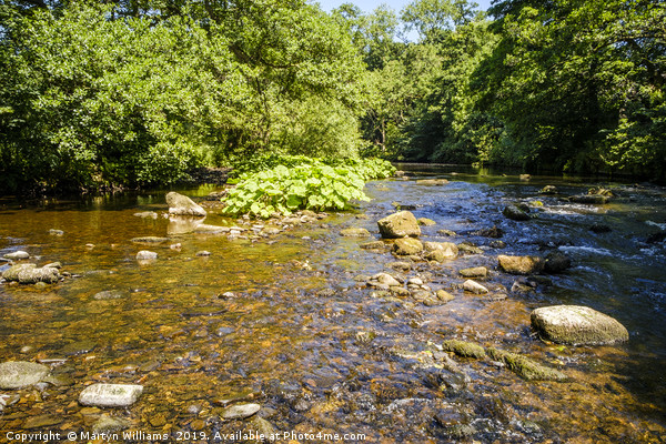 River Derwent, Derbyshire Picture Board by Martyn Williams