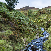 Buy canvas prints of Ringing Roger And Golden Clough, Kinder Scout by Martyn Williams