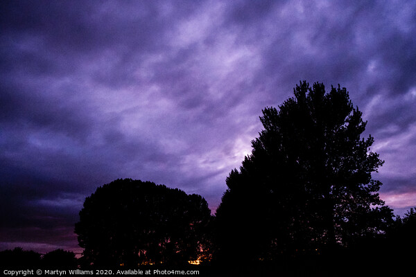Trees Against A Dramatic Night Sky Picture Board by Martyn Williams