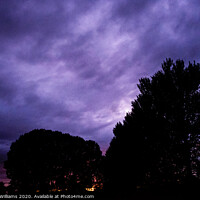 Buy canvas prints of Trees Against A Dramatic Night Sky by Martyn Williams