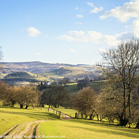 Buy canvas prints of Footpath To Hathersage by Martyn Williams