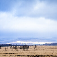 Buy canvas prints of Derbyshire Moors by Martyn Williams