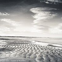 Buy canvas prints of Gibraltar Point, Lincolnshire Coast by Martyn Williams