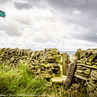 Buy canvas prints of A Derbyshire Countryside Path by Martyn Williams
