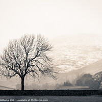 Buy canvas prints of Vale of Edale, Derbyshire Peak District by Martyn Williams