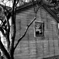 Buy canvas prints of Shed by Mary Rath