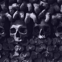 Buy canvas prints of Skulls - Paris Catacombs, tinted version by Mary Rath