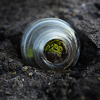 Buy canvas prints of Moss inside glass bottle by Mary Rath