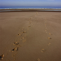 Buy canvas prints of Footsteps on the beach 2 by James Ward