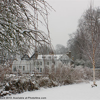Buy canvas prints of Winter at Honeywood by James Ward