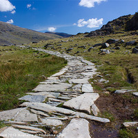 Buy canvas prints of Path to the mountains by James Ward