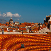 Buy canvas prints of Red Roofs, Blue Skies by Christine Johnson