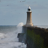 Buy canvas prints of Tynemouth Pier and Lighthouse by John Ellis