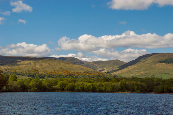Loch Lomond Picture Board by John Ellis