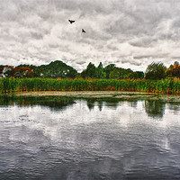 Buy canvas prints of The Pond by John Ellis