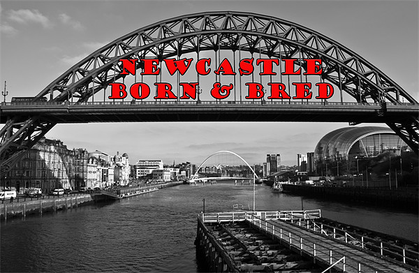 Newcastle Born & Bred Picture Board by John Ellis