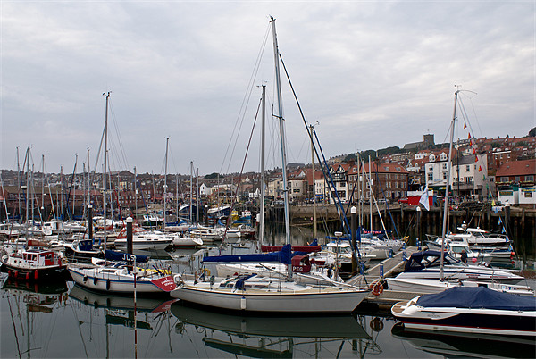South Bay Harbour, Scarborough Picture Board by John Ellis