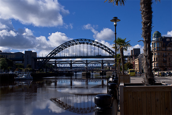 Tropical Quayside Picture Board by John Ellis