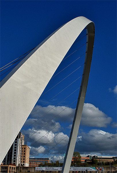 Millennium Bridge Picture Board by John Ellis