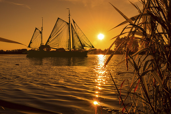  Sunset & Sails Picture Board by John Ellis