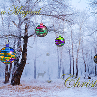 Buy canvas prints of Have a Magical Christmas by John Ellis