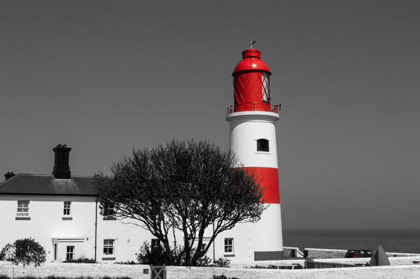 Souter Lighthouse Picture Board by John Ellis