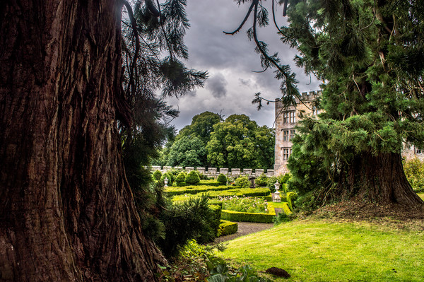 Chillingham Castle Gardens Picture Board by John Ellis
