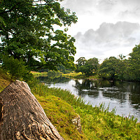 Buy canvas prints of Tyne at Chesters by John Ellis