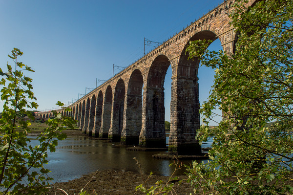 The Royal Border Bridge Picture Board by John Ellis