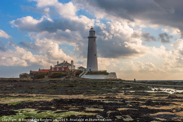 St Mary's Lighthouse Picture Board by John Ellis