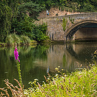 Buy canvas prints of Bridge over the Coquet by John Ellis