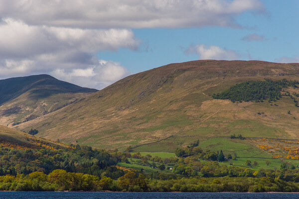 Loch Lomond Landscape Picture Board by John Ellis