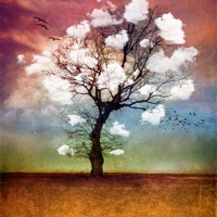 Buy canvas prints of ATMOSPHERIC TREE - PICK ME A CLOUD by 