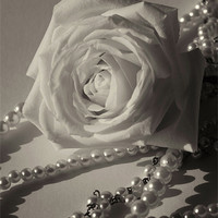Buy canvas prints of Petals and Pearls by zoe jenkins