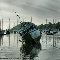 Buy canvas prints of Watermouth Cove by Stephen Wakefield