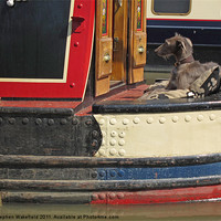 Buy canvas prints of Back of the boat by Stephen Wakefield