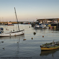 Buy canvas prints of Bridlington harbour at dusk by Stephen Wakefield