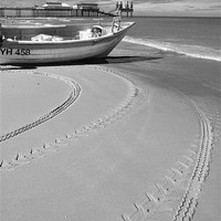 Buy canvas prints of Tracks in the Sand by Stephen Wakefield