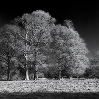 Buy canvas prints of Moulton Grange in Infra Red by Stephen Wakefield