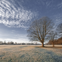 Buy canvas prints of  Frosty Winter Morning by Stephen Wakefield