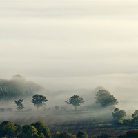 Buy canvas prints of Misty Magic by David Dean