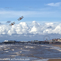 Buy canvas prints of Blackpool Wing Walkers by Aran Smithson