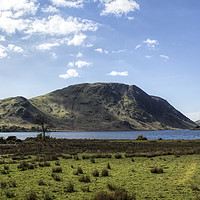 Buy canvas prints of Summer at Crummock Water by Aran Smithson
